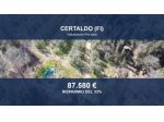 Immobile in asta di 60785 m² in vendita a Certaldo
