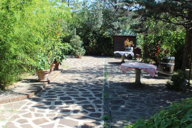 MASSETO - RUFINA -FIRENZE VENDESI COLONICA CON SUPER AZIENDA AGRICOLA - Foto 9