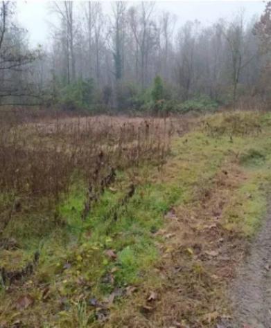 Immobile in asta di 11200 m² in vendita a Castello di Brianza - Foto 7