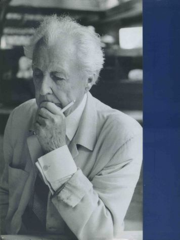 FRANK LLOYD WRIGHT, CHIPPERFIELD , EISENMAN , ANDO - 4 VOLUMI