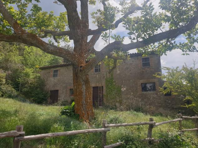 Casale in vendita a Orvieto - Foto 19
