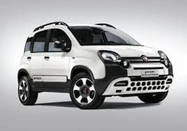 FIAT Panda Cross 1.0 FireFly S&amp;S Hybrid rif. 22158104