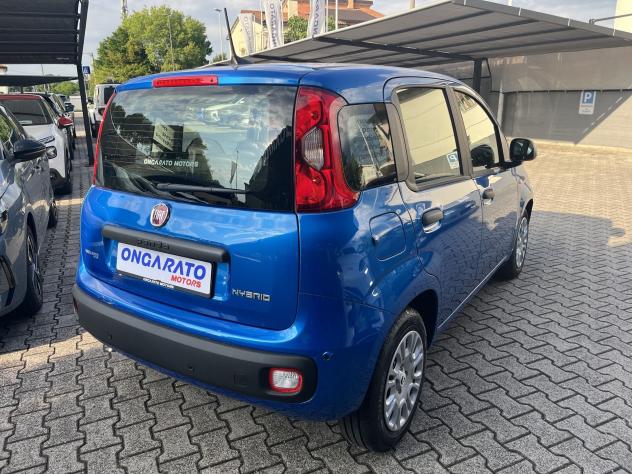 FIAT Pandina 1.0 FireFly 65cv S&S Hybrid Icon VARI COLORI - Foto 5