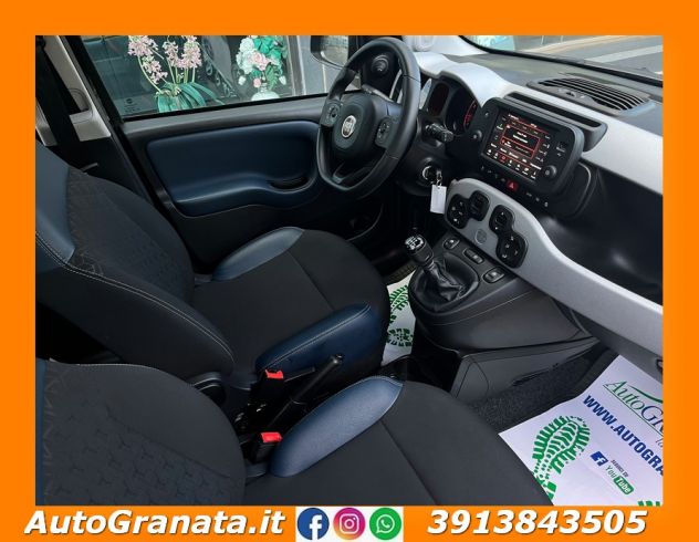 Fiat Panda 1.0 FIREFLY S&S HYBRID CITY CROSS - Foto 6