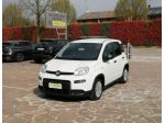 FIAT Panda 1.0 FireFly S&S Hybrid 4 Posti rif. 23500414