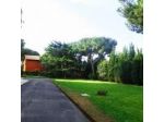 Centro Pellegrini