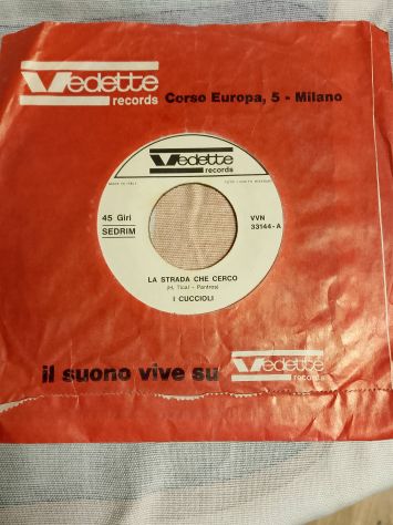 Vendo vinile 45 giri RARO