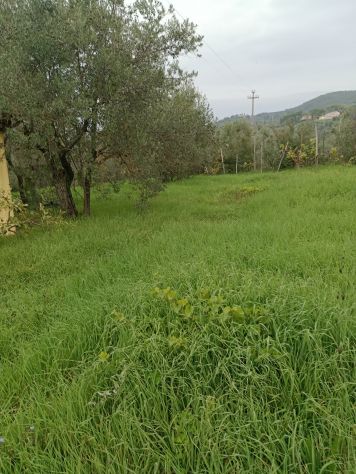 Terreno per agricoltura amatoriale nel Chianti - Foto 2
