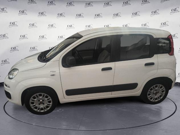 FIAT Panda Panda 1.2 Easy (PREZZO REALE) - Foto 2