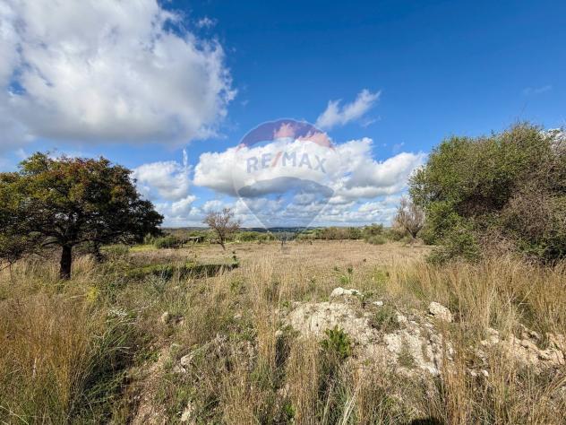 Terreno in vendita a Chiaramonte Gulfi - Foto 4
