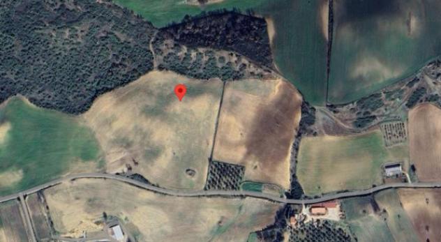 Immobile in asta di 324246 m² in vendita a Grottole - Foto 7
