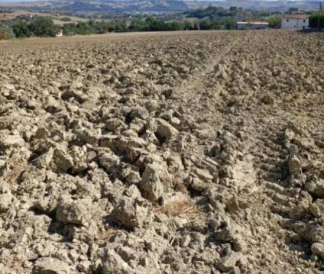 Immobile in asta di 15707 m² in vendita a Mondolfo - Foto 2