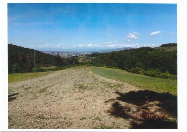 Immobile in asta di 80320 m² in vendita a Montespertoli - Foto 3