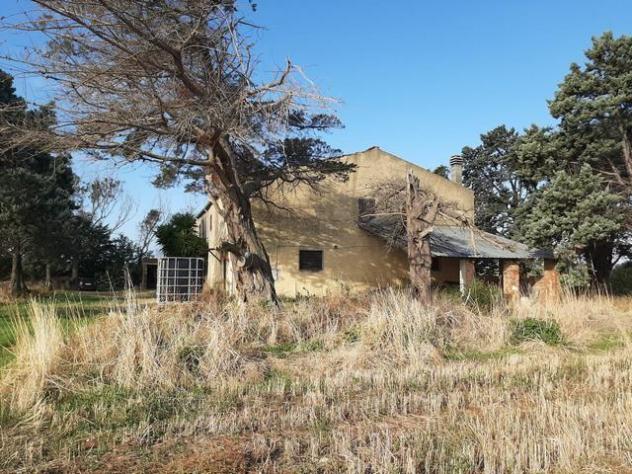 Rustico in vendita a Vada - Rosignano Marittimo 6000 mq Rif: 1198833 - Foto 5