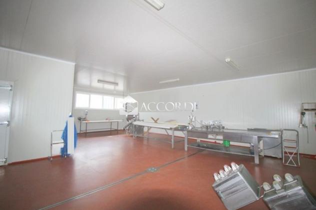 CAPANNONE di 4 vani e di 548 mq (CISON DI VALMARINO) rif. BC05