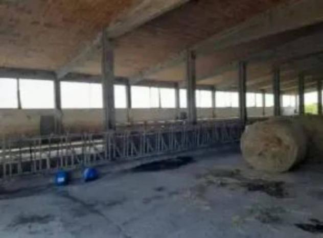 Immobile in asta di 1500 m² in vendita a Malagnino - Foto 7