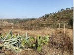Terreno in vendita a Mineo