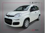 FIAT Pandina 1.0 Hybrid ICON Radio Clima 5P **AKTION** rif. 23482035
