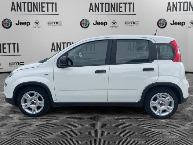 FIAT Panda Panda 1.0 Firefly Hybrid 70cv Pop - Foto 8