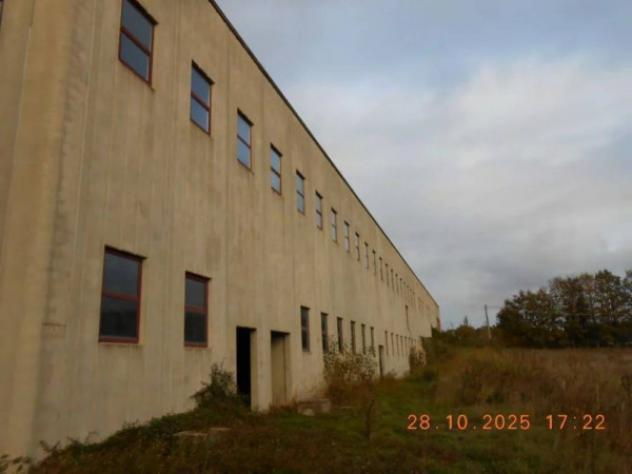 Immobile in asta di 5721 m² in vendita a Soveria Mannelli - Foto 2
