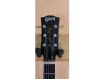 Gibson standard 2006