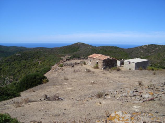 Terreno agricolo in Sardegna - Foto 3