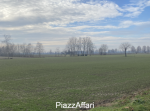 Terreno a Arzergrande - Rif. ARZV9