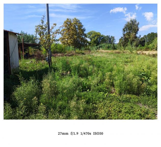 Terreno agricolo in vendita a Battilana - Carrara 1300 mq Rif: 1452305 - Foto 3