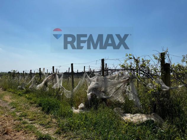 Terreno in vendita a Chiaramonte Gulfi - Foto 6
