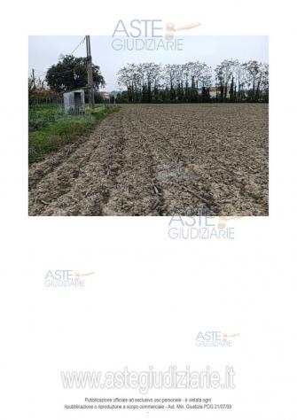 IMMOBILI-ALTRA CATEGORIA-Via Santa Maria Apparve, 60010 Ostra AN, Italia - Foto 9