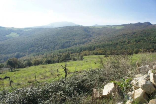 Immobile in asta di 1900000 m² in vendita a Piancastagnaio - Foto 5