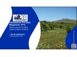 Immobile in asta di 27444 m² in vendita a Carlentini