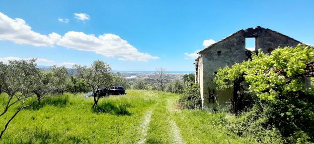 Uliveto in vendita a Montecorvino Rovella - Foto 3