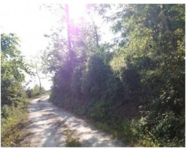 Immobile in asta di 91609 m² in vendita a Pianello Val Tidone - Foto 3