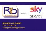 Consulente commerciale