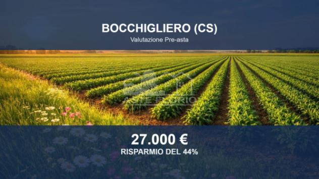 Immobile in asta di 43650 m² in vendita a Bocchigliero