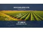 Immobile in asta di 43650 m² in vendita a Bocchigliero