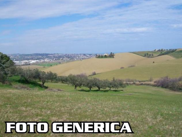 Terreno agricolo in vendita a San Prospero Navacchio - Cascina 4000 mq Rif: 533890