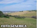 Terreno agricolo in vendita a San Prospero Navacchio - Cascina 4000 mq  Rif &hellip;