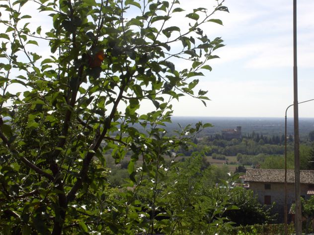 Moruzzo - Foto 2