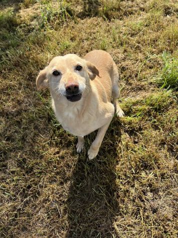 Marie - Foto 4