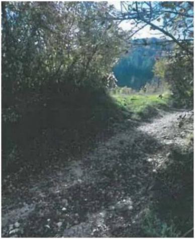 Immobile in asta di 209 m² in vendita a Spoleto - Foto 6