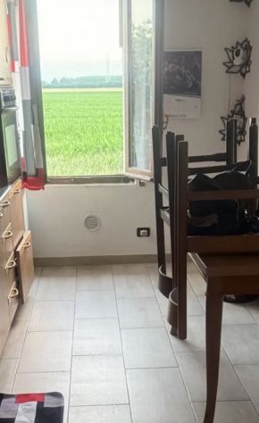 Tre locali +rustico+giardino - Foto 4