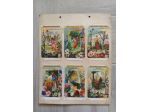 74 CARTOLINE LIEBIG