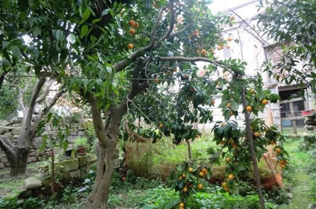 Ittiri vendesi casa indipendente 5 vani 100 Mq