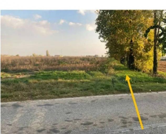 Immobile in asta di 27420 m² in vendita a Nogara - Foto 4