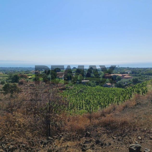 Terreno in vendita a Zafferana Etnea, Pisano - Foto 6