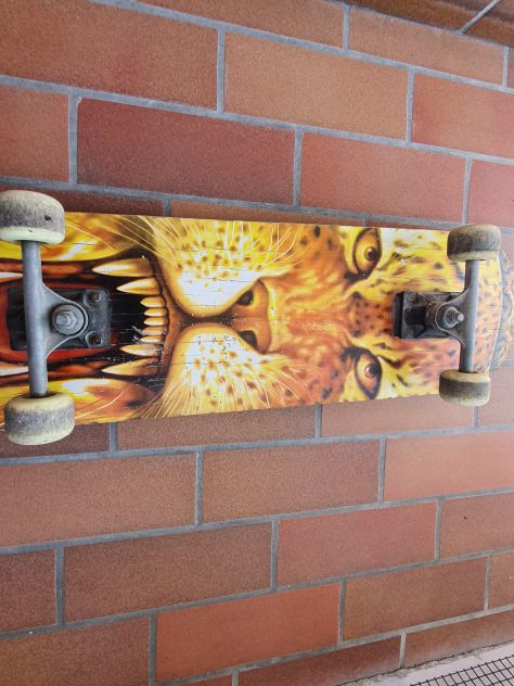 VENDESI SKATEBOARD IN BUONO STATO. - Foto 2