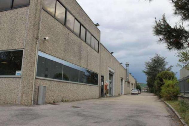 Immobile in asta di 4048 m² con più di 5 locali in vendita a Montegranaro - Foto 3