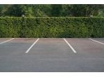 Posto auto in vendita a Pontedera 14 mq  Rif: 1308826
